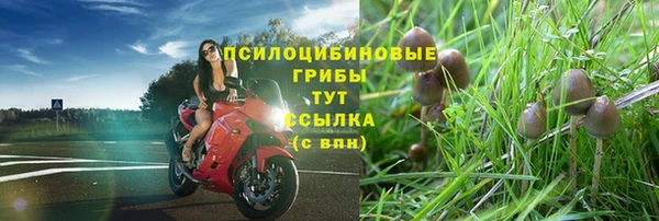 соль ск Баксан