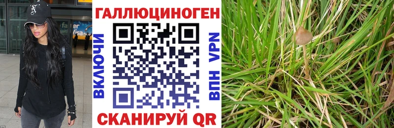 что такое   Каспийск  Псилоцибиновые грибы Magic Shrooms 